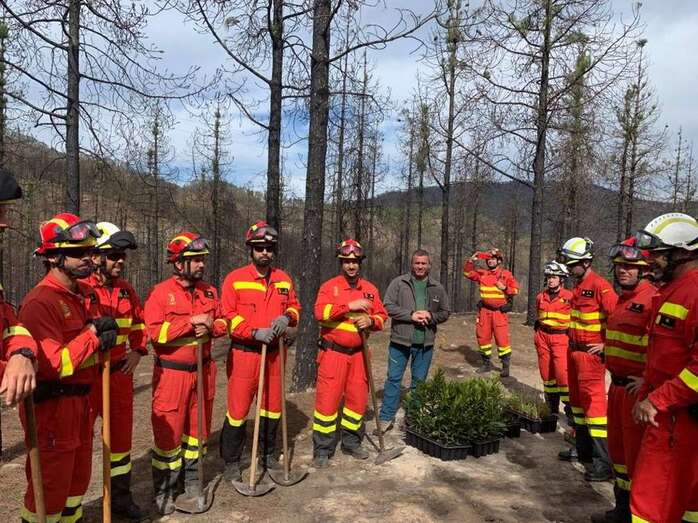 La autobomba de la UME vertió de 15.000 litros de agua para regar los árboles plantados (Foto TA)